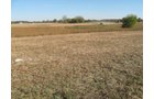 Property photo 33 - 110+/- Acres offered in 4 Tillable Tracts
